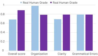 essay grader